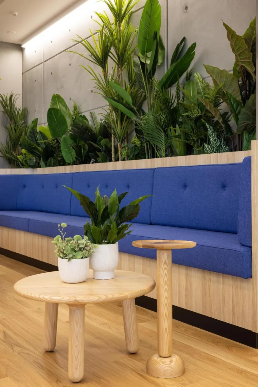 Leading Upholstery Company Auckland, NZ Upholstery Specialists